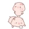Little pigs 11