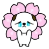 Tiernos mix  MOV 16