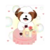 tierno  perrito 18