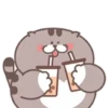 Fat cat 15