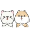 Shiba Dog 1 Movi 14