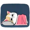 Dormir 16