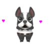 Mangae 11