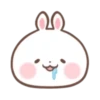 Rabbit emoji MOV 13