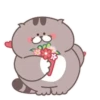 Fat cat 16