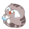 Fat cat 17
