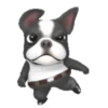 Mangae 12