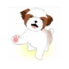 tierno  perrito 19