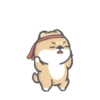 Shiba Dog 1 Movi 16