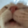 memes 22