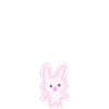 ️Bunny planeta  MOV 17