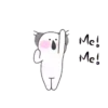 Koala White   Mov 10