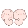 Little pigs 14