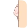 Little pigs 16