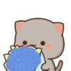 MOCHIS CAT Extra"L" MOV 17