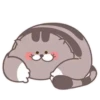 Fat cat 20