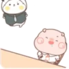Little pigs 17