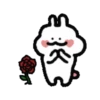 ️Flower rabbit   MOV 13