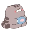 Fat cat 21