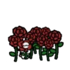 ️Flower rabbit   MOV 14
