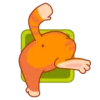 Gatito amoroso 11
