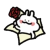 ️Flower rabbit   MOV 15