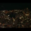 ️ Halloween mix   MOV 19