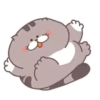 Fat cat 23