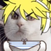 meow Mov 14