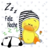 buenas noches 22