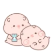 Little pigs 18
