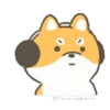 Shiba Dog 1 Movi 21