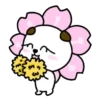 Tiernos mix  MOV 24