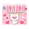 自然猫 告訴愛貼圖 18
