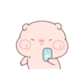 Little pigs 19