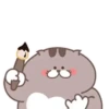 Fat cat 24