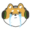 Shiba Dog 1 Movi 22