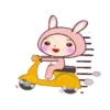Pijamas Bunny   Mov 8