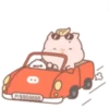 Little pigs 20