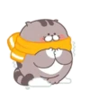 Fat cat 25