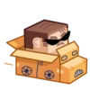 Human Box 12