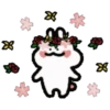 ️Flower rabbit   MOV 17