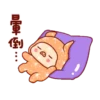 亮亮豬閃耀你的聊天室2 19