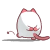 Lindo gato de morango 20