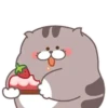 Fat cat 29