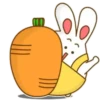 ️Bunny pantalones  MOV 15