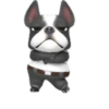 Mangae 19