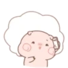 Little pigs 24