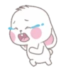 Bunny Jean 22