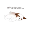 tierno  perrito 22